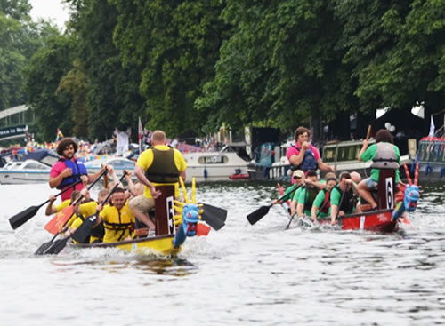 Dragon race at the Bedford River Festival